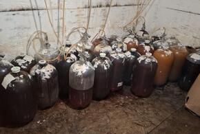 Туристов и жителей Кубани поили пивом без лицензии