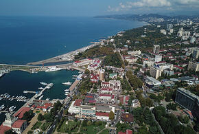 Украина пыталась атаковать Кубань, из-за пчелы произошло ДТП: ТОП-5 за 8 июня