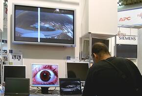 Улица в Краснодаре вошла в ТОП самых дорогих в РФ, страшная жара идет на Кубань