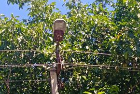 В посёлке Новоивановском на Кубани неизвестный расстрелял уличный фонарь из пневматического оружия