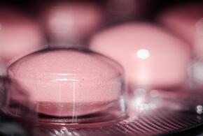 В Сочи мужчина убил знакомого из-за «некачественных» наркотиков