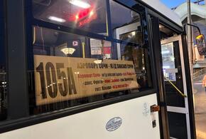 В Сочи начнет работать круглосуточный автобусный маршрут