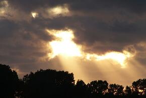 Ветер, местами ливни: синоптики рассказали погоде на Кубани 25 июня