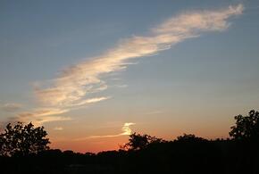 Вода в Черном море остудилась до зимних значений, в Сочи автобус врезался в поезд: ТОП-5 за 22 июня