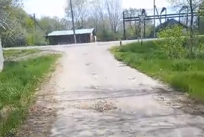 Дома, хозпостройки, гаражи и другие строения возведены и используются незаконно