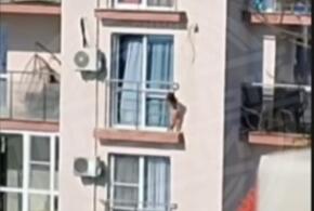  Жуткие кадры: в Сочи маленькая девочка пролезла сквозь перила балкона на 6-ом этаже высотки