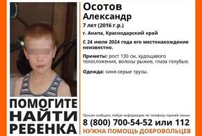 Бесследно пропавшего 7-летнего мальчика ищут в Анапе