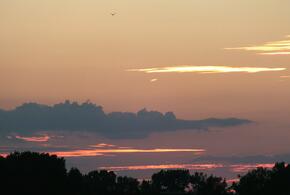 Большой пожар случился в Краснодаре, перебои в электроснабжении продолжаются: ТОП-5 за 21 июля