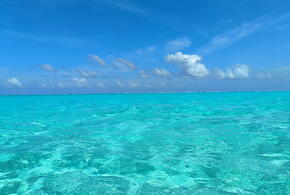 Что дешевле: эксперты рассказали, сколько стоит пляжный отдых в июле