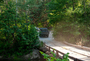 Что охраняю - то и краду: лесничий на Кубани с помощниками незаконно нарубил деревьев на 700 тысяч