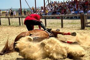 Краевой фестиваль шашлыка и рубка шашкой отменены на Кубани