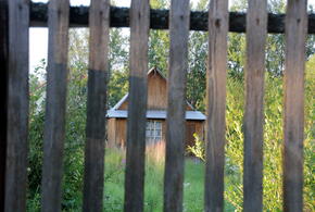 Кубанец из ружья выстрелил в глаз соседке из-за громкой музыки