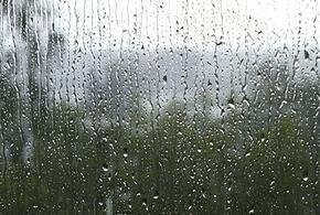  Ливни и шквалистый ветер: МЧС предупредило жителей Кубани о грядущей непогоде