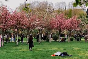 Не хуже, чем в парке Галицкого: сочинцы показали свою локацию