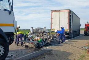 «Опознали только по номеру прав»: появились подробности чудовищной аварии с пятью погибшими на Кубани