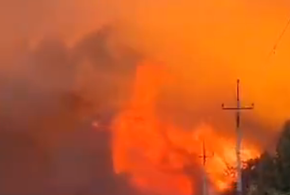 Под Новороссийском продолжается тушение пожара с применением авиации