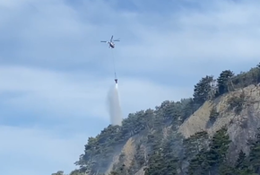 Но возгорание удалось локализовать