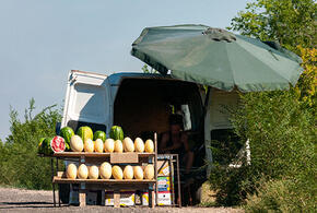 Продолжится ли адское пекло: синоптики рассказали о погоде на предстоящие выходные на Кубани