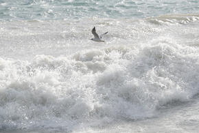 Сильная жара: 41 градус прогнозируется на Кубани 12 июля