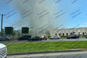 Сотрудники парка  Галицкого в Краснодаре объяснили, что у них горит