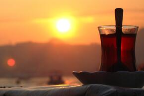 Стало известно, где самая дешёвая клубника в Краснодаре, в парке Галицкого роют «окопы»: ТОП-5 за 24 апреля