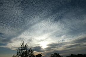 Трамп ранен на митинге, в ДТП на Кубани погибли трое: ТОП-5 за 14 июля