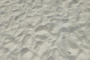 Три подростка «зиговали» и выкрикивали нацистские лозунги на пляже в Краснодарском крае