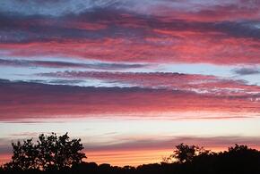 Ужасный пожар в Абрау-Дюрсо, очередь из 1400 автомобилей перед Крымским мостом: ТОП-5 за 15 июля