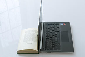 В парке Галицкого цветет огненное дерево, в Сочи загорелось здание суда: ТОП-5 за 10 июля