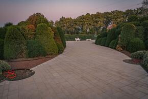 В парке Галицкого открыли пешеходную зону «Парка Облаков»