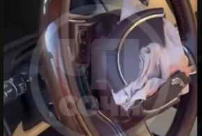  Вандалы в центре Сочи разгромили дорогую иномарку на платной и охраняемой стоянке