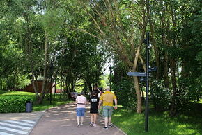 Возможны дожди и грозы: синоптики рассказали о погоде на Кубани 19 июля