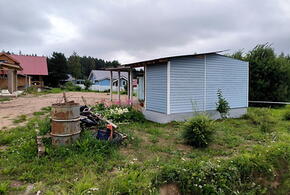 Участки подорожали за год на четверть