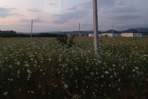 Жительница Кубани может лишиться дома, за который ей выплачивать ипотеку ещё 30 лет