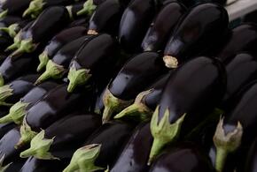 Дешевле супермаркета: в Краснодаре открылись ярмарки выходного дня