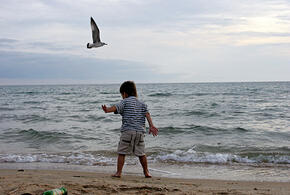 Как уехать из Анапы в августе, если обратных билетов нет