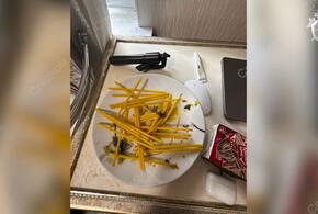 Мать, истязавшая своего двухлетнего сына в Сочи, сядет в тюрьму