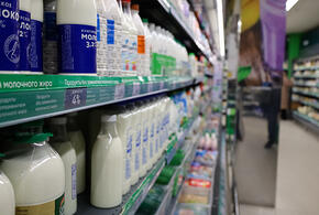 Фото: globallookpress\Elena Mayorova