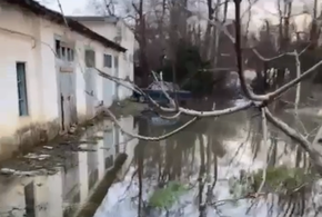 Не ходим в туалет и не моемся: в Новороссийске фекалии из канализации текут по улицам