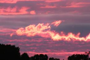 Несколько десятков мужчин устроили драку под Краснодаром, людям запретили купаться в анапском море: ТОП-5 за 31 августа