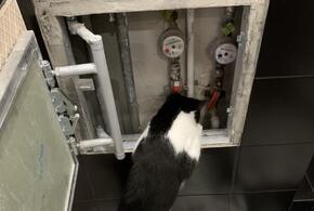 Ни воды, ни света: более 20 улиц Краснодара столкнутся с перебоями с самого утра