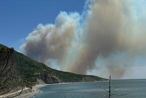 Под Новороссийском пожарным удалось потушить пламя на турбазе, но огонь продолжает распространяться в лесу
