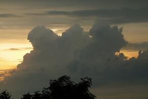 Поднимется ветер, реки выйдут из берегов: в Сочи продлили штормовое предупреждение