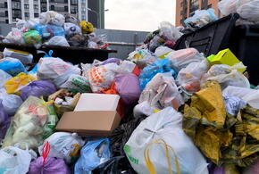 Приходится делать работу за коммунальщиков: субботник начался в Краснодаре