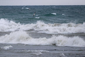 Просто смотрели: девушка чуть не утонула в Новороссийске во время шторма, но пляжные спасатели не рискнули ей помочь