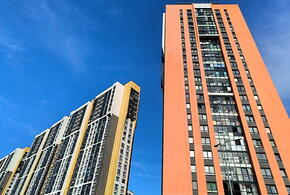 Серые обои и белые двери: выяснилось, как россияне предпочитают оформлять свои квартиры и дома