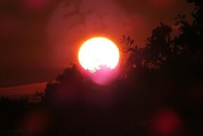 Учёные рассказали, сколько ещё магнитных бурь будет в этом году 