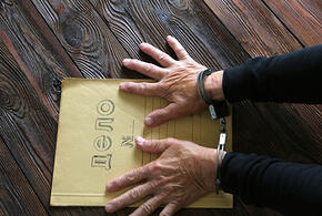 В Красноармейском районе четверо мошенников под видом сотрудников ФСБ выбивали дань с фермера-иностранца