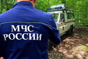 В Сочи спасатели ищут пропавшего пенсионера - грибника