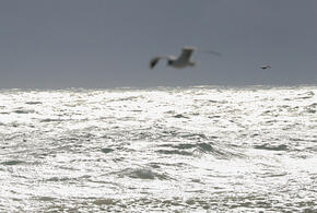 Всего 11 градусов: в каких районах Краснодарского края прогнозируется похолодание